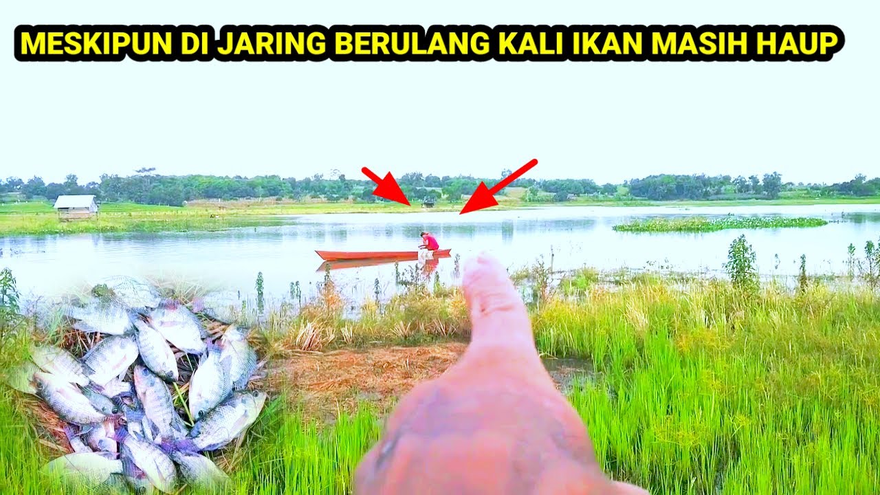 SPOT LUAR BIASA❗SEPERTI GAK ADA HABISNYA IKAN DI SPOT INI‼️mancing nila waduk kalibening
