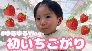 【おでかけVlog】はじめてのいちご狩りを納めてみました🍓