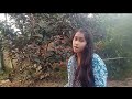 Pardesiya yeh sach hai piyacover bysaifi alilatamangeshkarkishorkumarviral.ytshorts