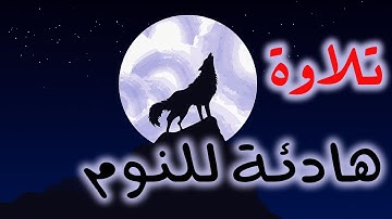 تلاوة من سورة البقرة ❤️ بأجمل صوت🌹تمتع بالهدوء 😴 والسكينة نوم عميق بلال دربالي قران كريم رقية النوم