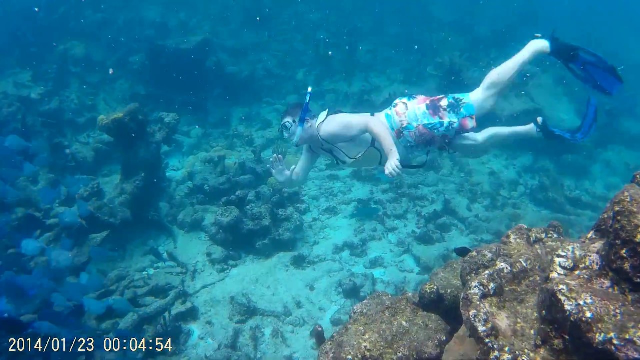 Buck Island, St. Croix Snorkeling Adventure 2016 YouTube