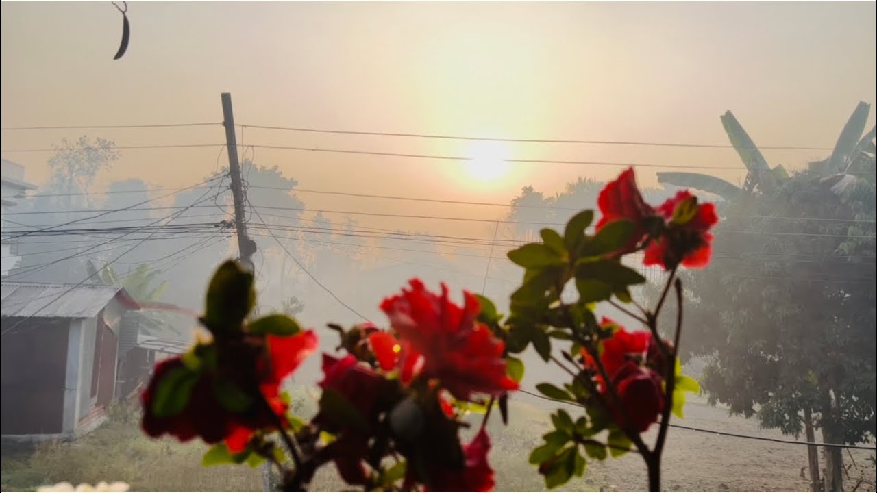 Afno gaughar ma beglai anand awne 😊aaj mero behema pulaw pakawne dai sang chori ko vet garaideko 😁🙏