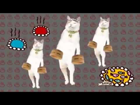 cats-being-funny-(compilation)--japanese-cat-commercial-edition!!