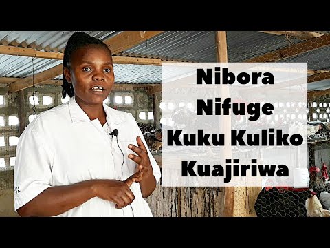 Video: Kuku Kwenye Chupa: Mapishi Ya Hatua Kwa Hatua