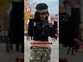 My Chemical Romance True Fan Test in Camden