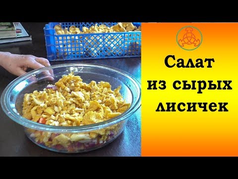 Салат из сырых лисичек. Многолетний опыт.