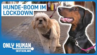 'CoronaHunde' | Deutschlands HundeHype | Only Human De