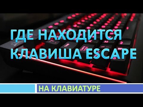 Где находится кнопка esc на клавиатуре компьютера(ноутбука).Где находится клавиша escape