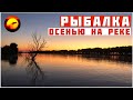 Рыбалка на Красивой Реке / Ловля Сазана Осенью