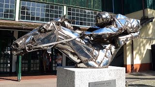 Horse Racing screenshot 2