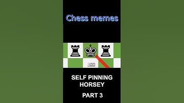 When The Queen Is Going For It | Chess Memes