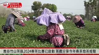 鹿谷竹山茶區2024春茶比賽已啟動 茶農分享今年春茶焙茶經驗