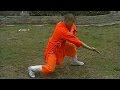 Shaolin Kung Fu: small flood form