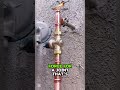 Goodbye Leaks!Professional Valve Replacement#Plumbing #PlumbingLife #MilwaukeeTools