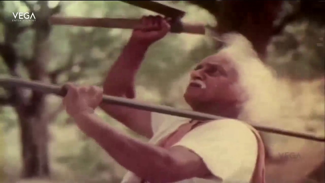 Sivappu Malargal Tamil Movie  Full Video Song  Tamil Movies