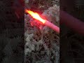 Do Road flares BURN in Liquid Nitrogen?!