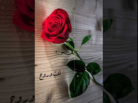 ورد هواك روض رضاك ابقى معاك رغم المصير بلال الأحمد ابقى معاك ٢٠٢٢