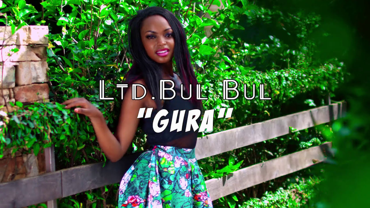 LTD BULBUL Gura