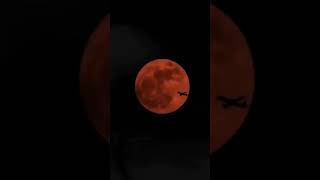 Ömrüm Sən Niye Video Paylasmirsanki Yazm Sənə Nede Sən Mənə Yazmırsan Mən Səhərdən Seni Gözləmişəm