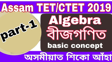 Assam TET/CTET 2019 by ksk educare||Algebra part-1