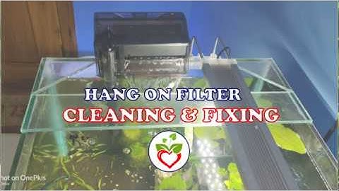 #02 Fluvel C3 Hang on Filter Cleaning and Fixing