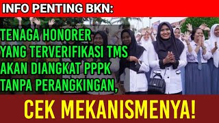 Tenaga Honorer yang Terverifikasi TMS akan Diangkat PPPK Tanpa Perangkingan, Begini Mekanismenya!