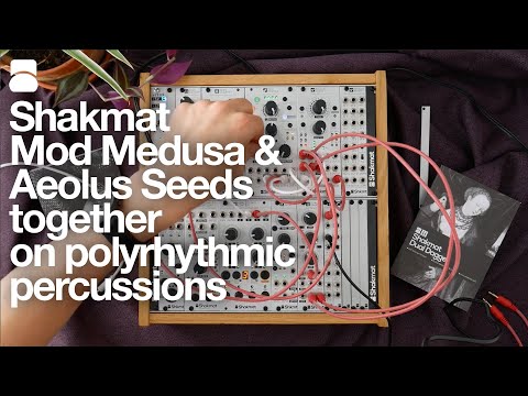 Mod Medusa and Aeolus Seeds work together to simulate polyrhythmic action