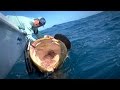 Monster Fishing on Shallow Florida Wrecks