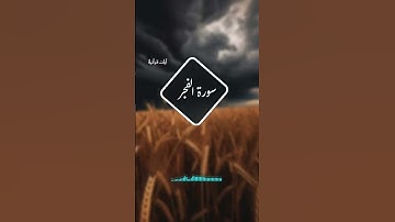 #قرآن (  سورة الفجر  ) تلاوة خاشعة جميلة