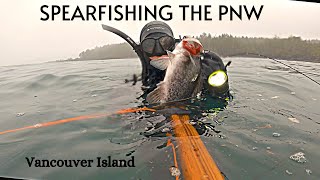Freediving and SPEARFISHING Vancouver Island - Opening Weekend on the PNW West Coast!