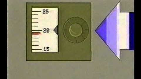 Homeostasis 1 Coping with Change