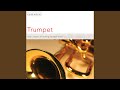 Miniature de la vidéo de la chanson Trumpet Concerto In D: Iv. Allegro