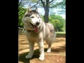 There must be an angel.wmv