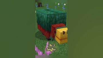 top 3 useless things in Minecraft//#popular #minecraft #shorts #useless #minecraftsniffer#mcpe