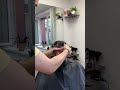      barber barberlife haircut hairstyle    shorts