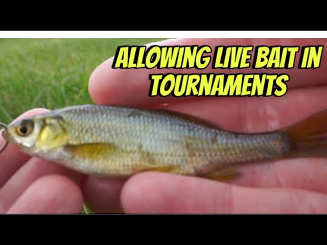 Because Of THIS…Bassmaster MUST Make Live Bait Legal On The Elite