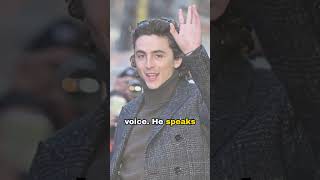 Timothe Chalamet: A Symbol Of A Generation