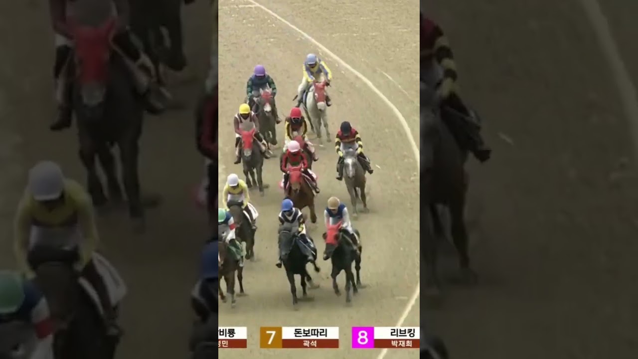 30배13배 적중 중배당