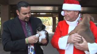 Home for the Holidays Pet Adoption Event