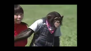 PERSAHABATAN ORANG UTAN dan ANJING eps.01