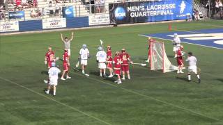Great Lacrosse Goal - Kyle Wharton #2