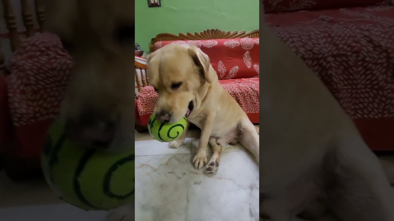 Игры Коко с мамой ❤️🧿🥰 