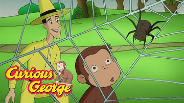 How Do Spiders Spin Webs? 🐵 Full Episodes | Curious George