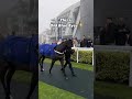 This is unusual! These full brothers raced on the same card on Boxing Day!
