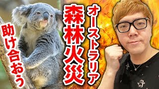 【拡散希望】ヒカキンと一緒にオーストラリア森林火災の被災地に募金しませんか？【コアラを助けたい】【寄付の方法】