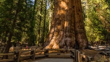 Exploring Biggest and Oldest Earth