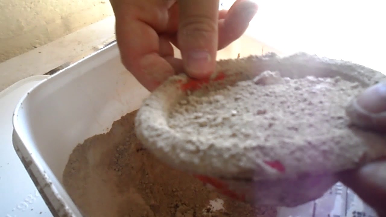 lutter contre les poux pour canaris et autre - YouTube