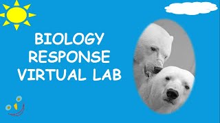 Choice chamber response | CSEC Biology TCP