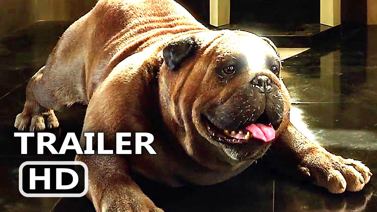 How To Get A Dog To Stop Lockjaw How To Get A Dog To Stop Lockjaw