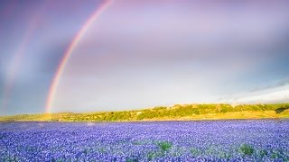 &quot;Sky Pilot&quot;- Eric Burdon and the Animals with &quot;All the Bluebonnets Are Over The Border&quot;-